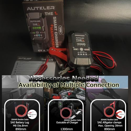 THE1A 6V/12V Smart Battery Charger,Trickle Charger,Desulfator & Automatic Maintainer for Multi-Chemicals Lead-Acid & Lithium Batteries,Temperature Compensation Down -20 °C,IP60