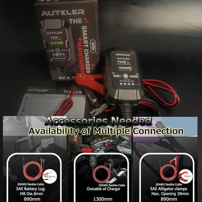 THE1A 6V/12V Smart Battery Charger,Trickle Charger,Desulfator & Automatic Maintainer for Multi-Chemicals Lead-Acid & Lithium Batteries,Temperature Compensation Down -20 °C,IP60