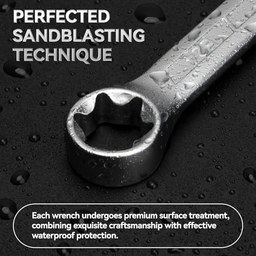 DISEN 6-Piece E-Torx Wrench Set, Double Box End Wrench Set, CR-V Steel, Spanner Set Including E6*E8, E7*E11,E10*E12, E14*E18, E16*E22 and E20*E24 - style: 6PCS