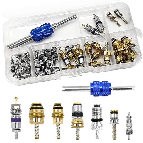 40Pcs Air Conditioning Valve Core - Valve Cores Accessories A/C R12 R134a Accessories Kit, Automotive Air Conditioning Refrigeration Tire Valve Stem Cores Repair Tool Assortment Kit