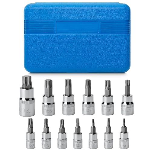 Bates Torx Bit Set - 13 Piece Socket Set, T8-T60, Star & Torx Bits - size: 13 pcs, T8-T60