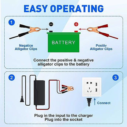 12V 3A Lithium Battery Charger 14.6V LiFePO4 Battery Charger, Battery Maintainer, Smart Charger with LED Indicator Cooling Fan for 12.8V Lithium Iron Phosphate Battery
