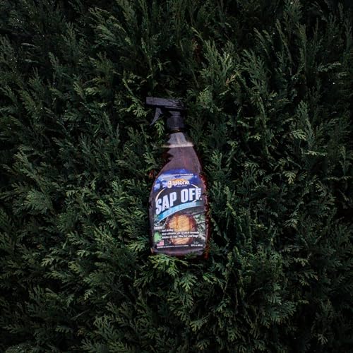 Gliptone Sap Off, Fast-Acting Sap, Pine Tar & Bug Remover Spray, 22 Fl Oz, Non-Abrasive Formula Safe for Paint, Glass & Plastic, Removes Dried-On Sap, Tar, and Bug Residue Quickly