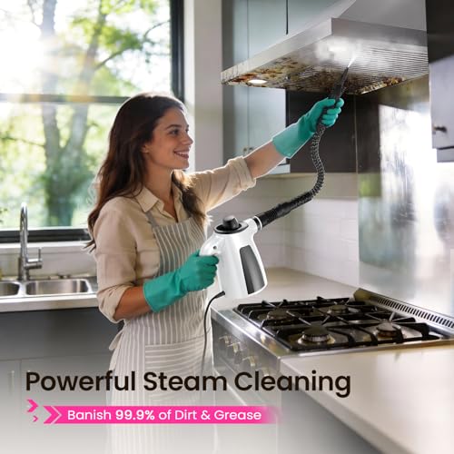 Steam Cleaner, Pressurized Handheld Multi-Surface Natural Steam Cleaner with 12pcs Accessory & Safety Lock, Portable Steamer for Cleaning Home, Kitchen, Bathroom, Car, Upholstery, Grout, Window - color: White