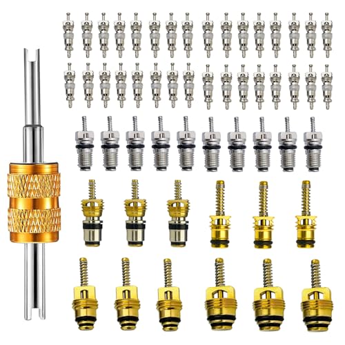 58 Pieces Valve Air Conditioning Valve Core R12 R134A R410 Automotive A/C Valve Stem Cores Brass Valve Cores Refrigeration Tire Valve Stem Cores for Car Auto Vehicle and More