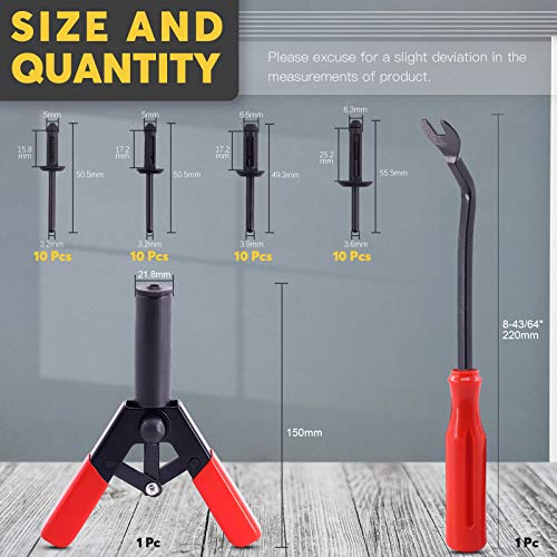 42Pcs Plastic Rivet Gun Set with 40Pcs 4Sizes Nylon Blind Rivets and 1Pcs Fastener Removal Tool, Hand Riveter Suitable for Automotive and More