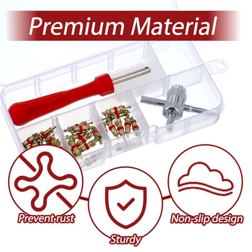 salbsever 32 PCS Tire Valve Core, Valve Core Removal Tool, ValveCore Universal Remover Tool Kit, Dual Head A/C Tire with Cores, Caps