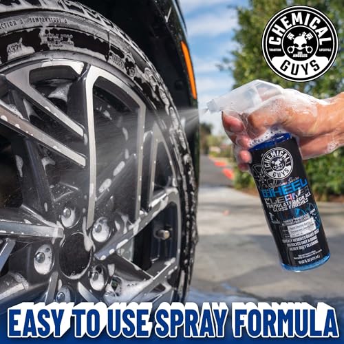 Chemical Guys Complete Wheel, Rim and Tire Care Kit, Foaming Cleaner, Tire Dressing, Wheel Sealant, Detailing Brushes, Microfiber Towels for Cars, Trucks and SUVs, 10-Piece Set