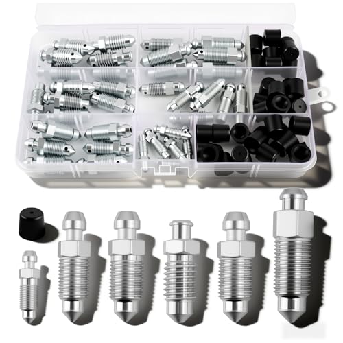 36PCS Multi-Size Car Brake Bleeder Screw Kit with Brake Bleeder Caps,Metric/SAE Cars Brakes Bleeders Valve Replacement for Models H9402-6 H9403-6,Screw Brakes Bleeders Kit with Box - color: With Cap