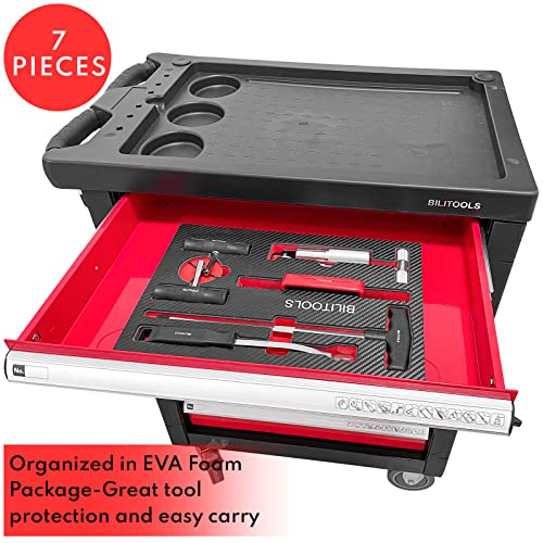 BILITOOLS Glass Suction Cups+Windshield Removal Tool Kit Combo