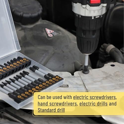 Bates Torx Bit Set, 24pc T5-T40, Tamper Resistant, Security Torx Bits - size: 24 pcs, T5-T40, style: Torx Bit Set