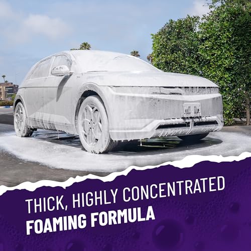 Chemical Guys, Extreme Bodywash & Wax Car Wash Soap, Grape Scent, 64 oz | Thick clinging foam in cannons, guns or buckets, carnauba adds gloss, gentle on wax and sealant, grape scent - size: 64 Ounce (Pack of 1)