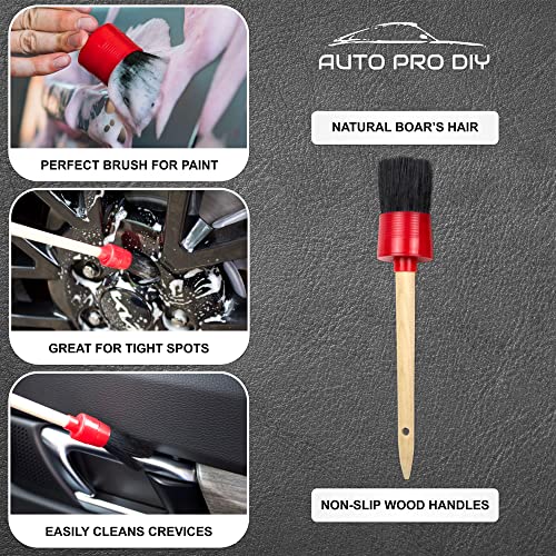 11 Piece Car Detailing Kit Set - Car Wheels, Exterior, Interior Cleaning Detail Supplies - Boars Hair, Stainless Steel Wire, Duster Brushes