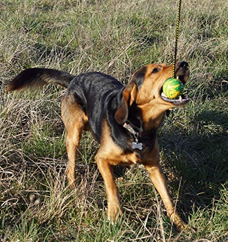 Dingo Fetch Ball Made of Hard Rubber with Knobs and String, Small, for Aport Game Dog Training 17321 - size: us4/100cm