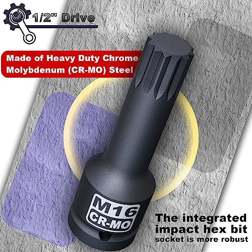 1/2" Drive Master Impact XZN Bit Socket Set, 10-Pieces: M5 - M18, Cr-Mo Steel, Heavy Duty Storage Case - size: 1/2" XZN