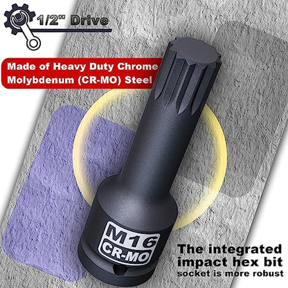 1/2" Drive Master Impact XZN Bit Socket Set, 10-Pieces: M5 - M18, Cr-Mo Steel, Heavy Duty Storage Case - size: 1/2" XZN