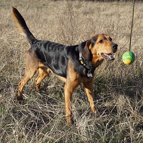 Dingo Fetch Ball Made of Hard Rubber with Knobs and String, Small, for Aport Game Dog Training 17321 - size: us4/100cm