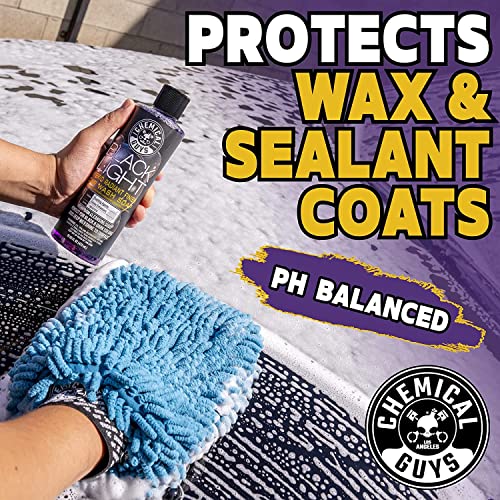 Chemical Guys Black Light Hybrid Radiant Finish Car Wash Soap and Superior Surface Cleanser 2 Pack (2 X 16 Fl. Oz.) - Gloss Enhancing pH Balanced Formula for Maximum Shine