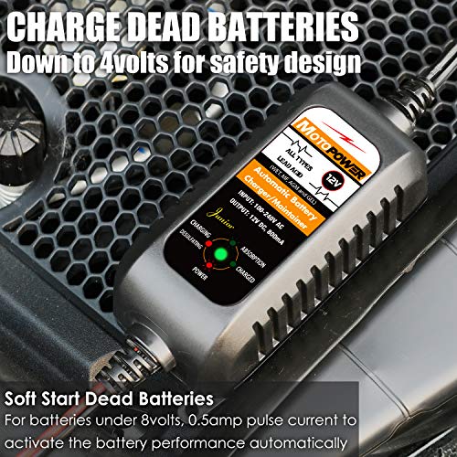 MOTOPOWER MP00205A 12V 800mA Automatic Battery Charger Maintainer, 2-Pack | Battery Charger, Battery Maintainer, Trickle Charger and Battery Desulfator