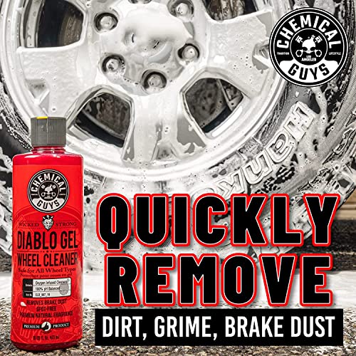 Chemical Guys, 15-Piece Arsenal Builder Car Wash Kit, Foam Cannon & Bag | Foam cannon, six 16 oz care chemicals and a carry bag for a full pressure-washer wash and detail - style: HOL350
